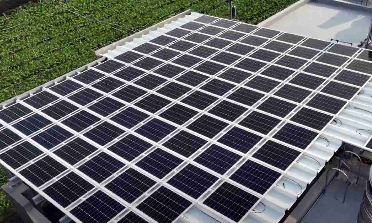 WepaySunSteel光电浪板升级双玻结构，，，，以提升机械负载强度及气候耐候度，，，可广泛运用于多元场域